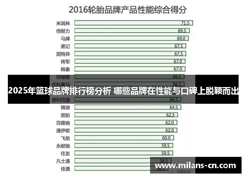 2025年篮球品牌排行榜分析 哪些品牌在性能与口碑上脱颖而出