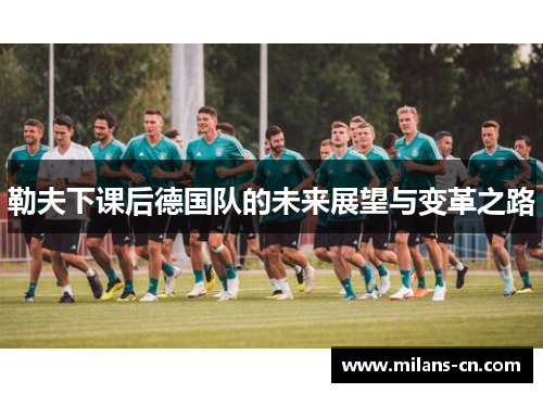 勒夫下课后德国队的未来展望与变革之路